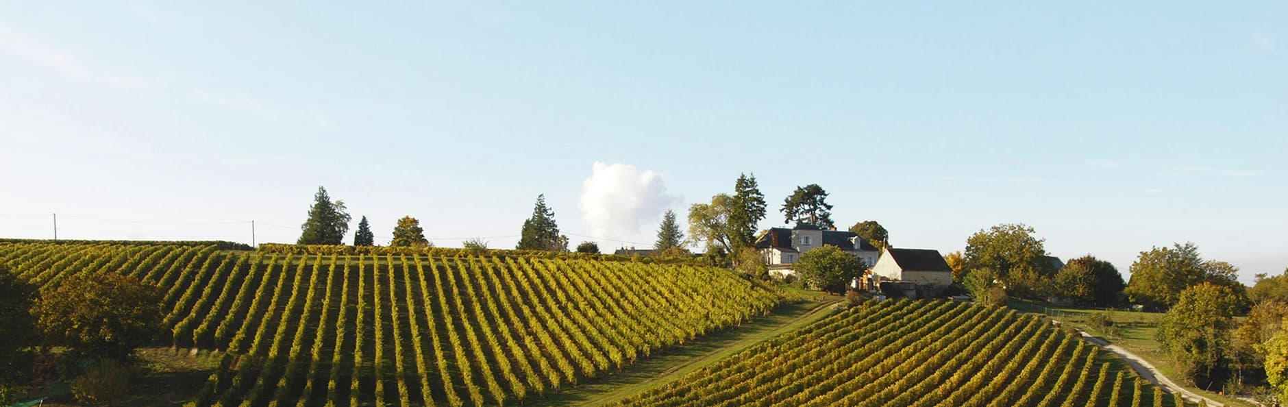 Domaine de la Noblaie