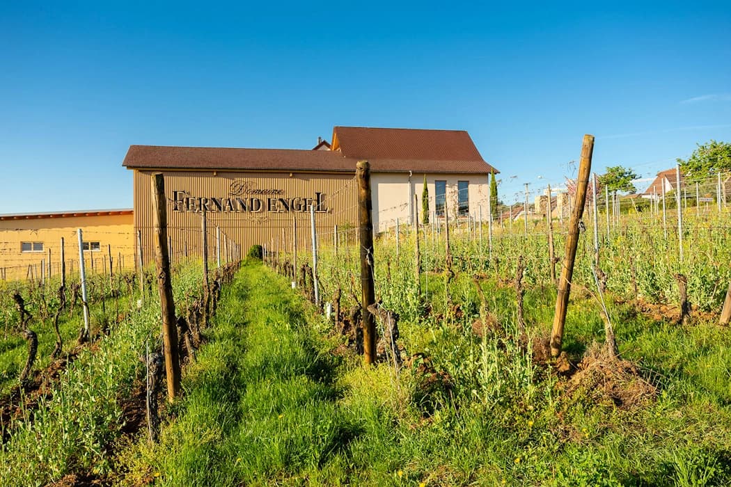 Domaine Fernand Engel