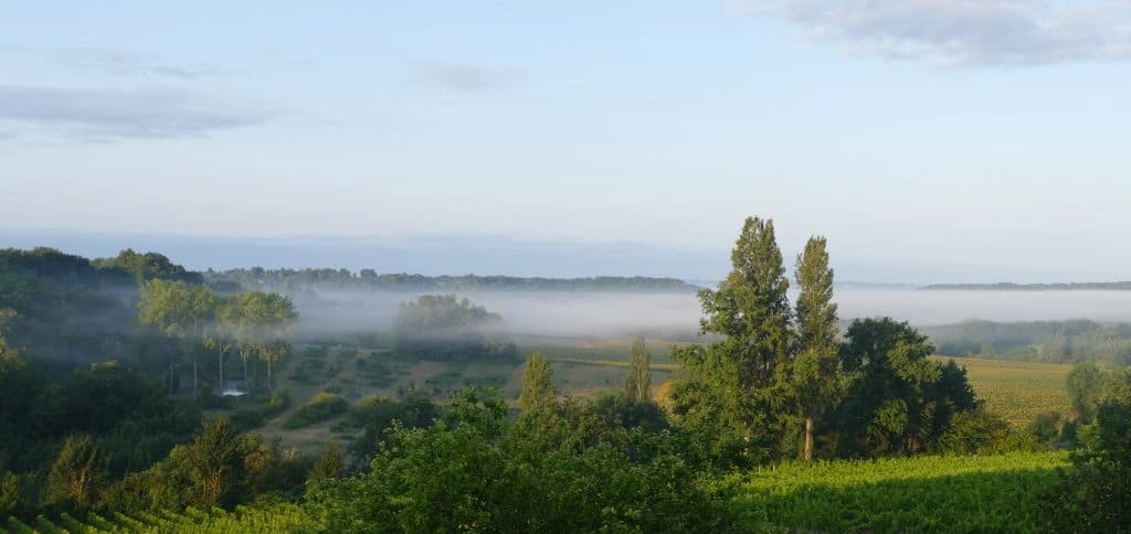 Domaine de Grimardy