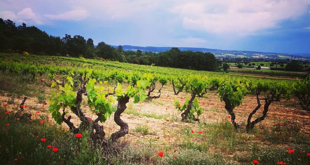 Domaine David Acolatsé