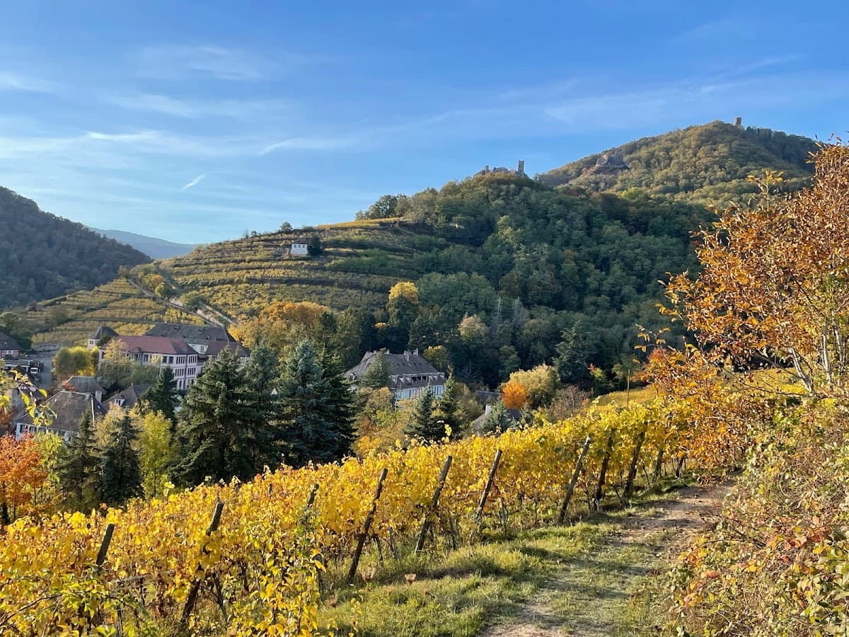 Domaine Jean Sipp