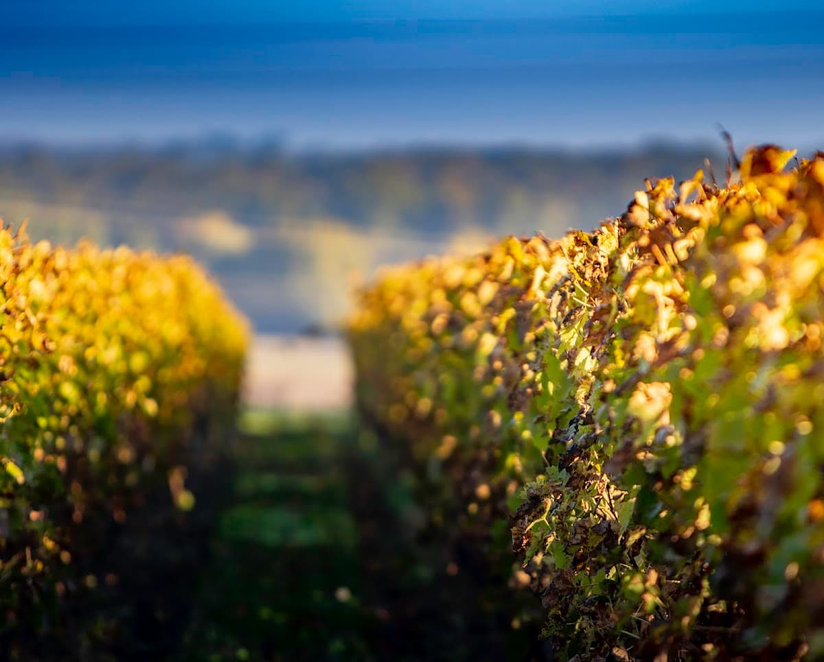 Domaine des Princes