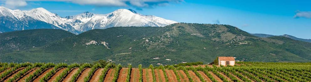 Vignobles Terrassous