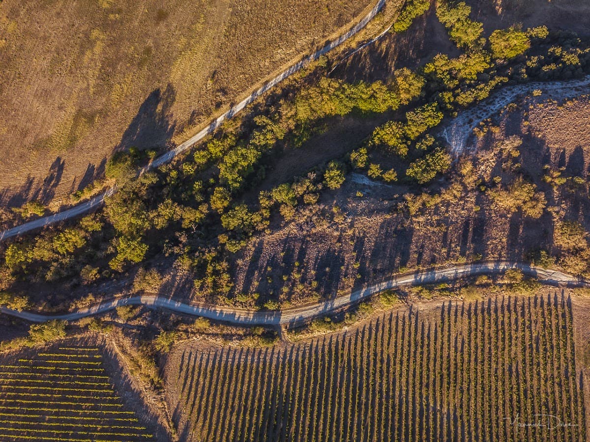 Domaine Galy