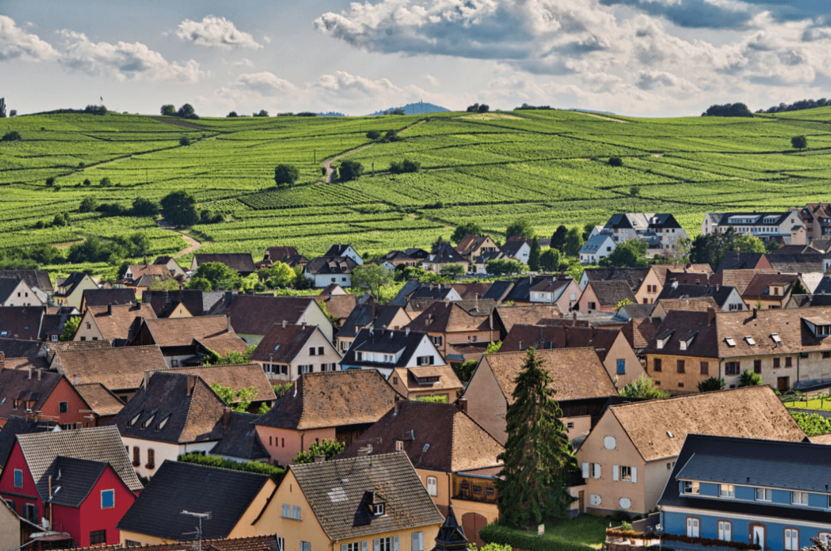 Domaine Greiner-Schleret