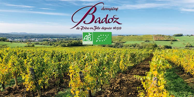 Domaine Benoît Badoz