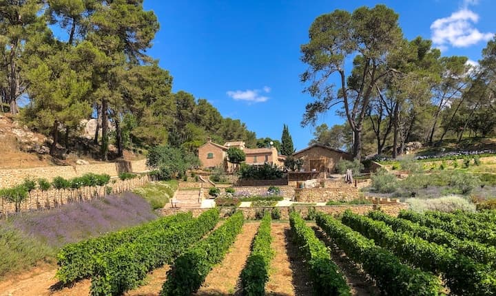 Chateau Gilbert et Gaillard