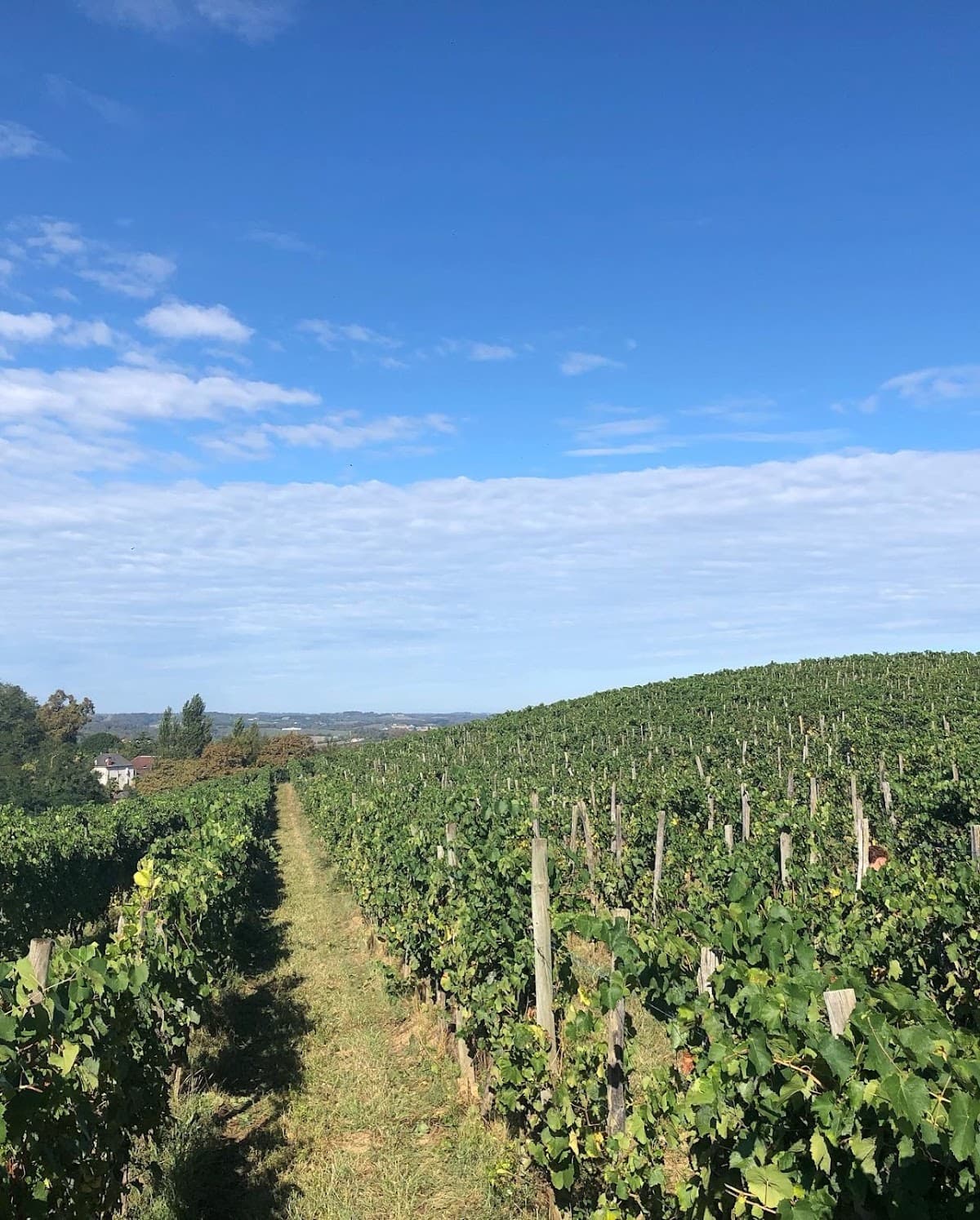 Domaine Nomboly-Traydou