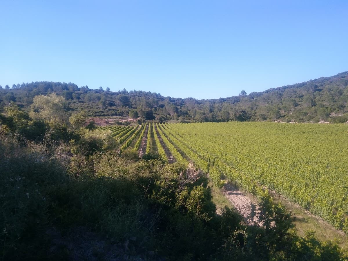 Domaine de L'escattes