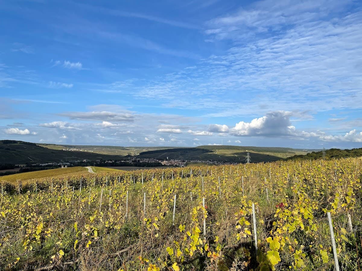 Champagne de Villepin