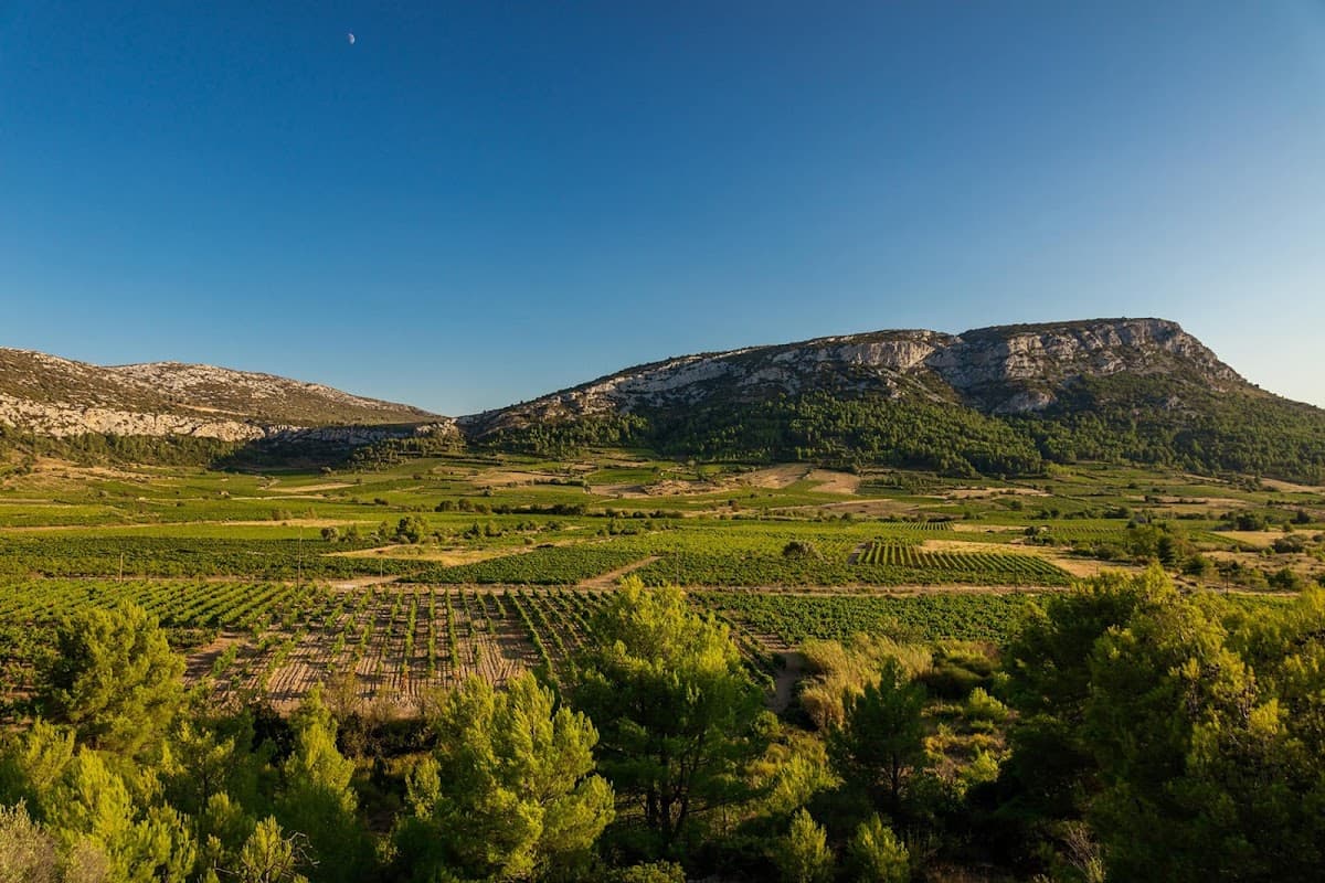 Les Vignerons en Terres Plurielles
