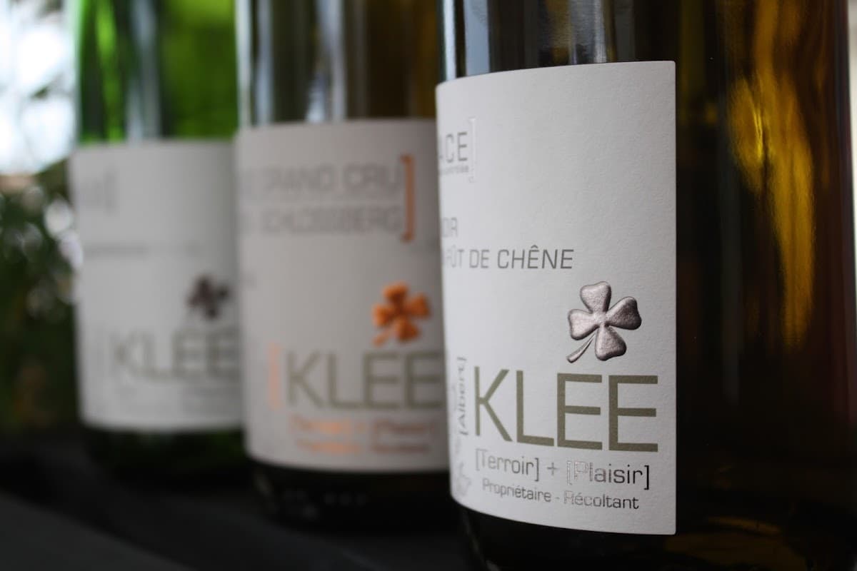 Vins Klee Albert