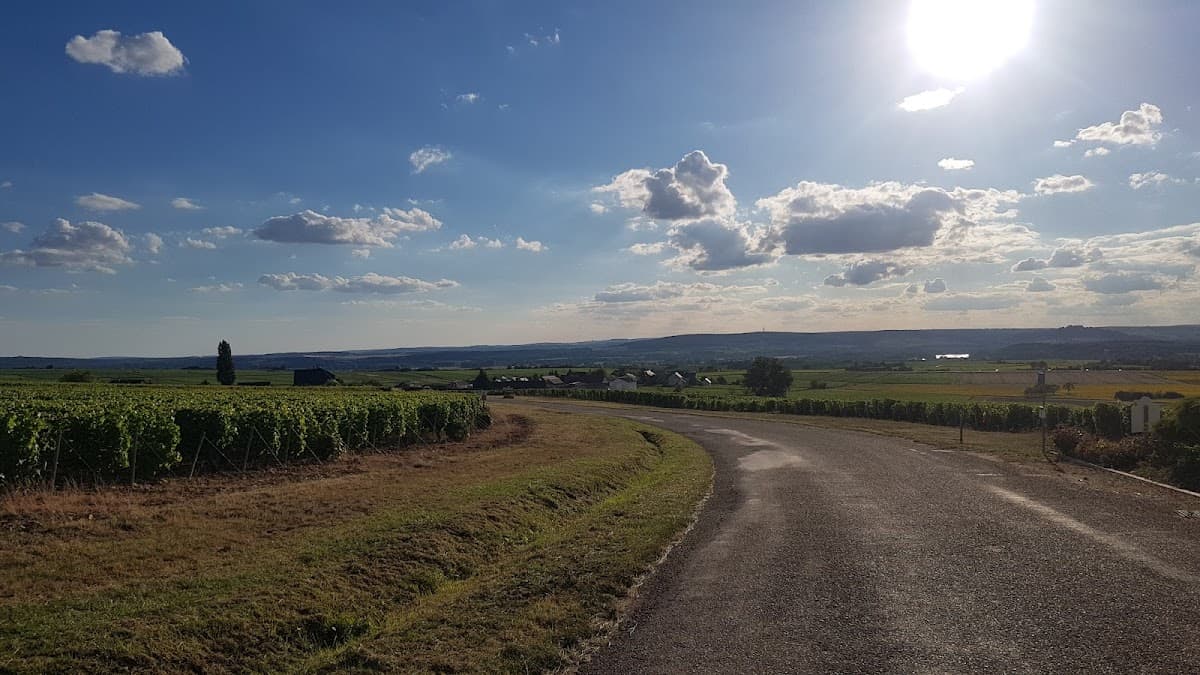 Domaine Bouchie Chatellier