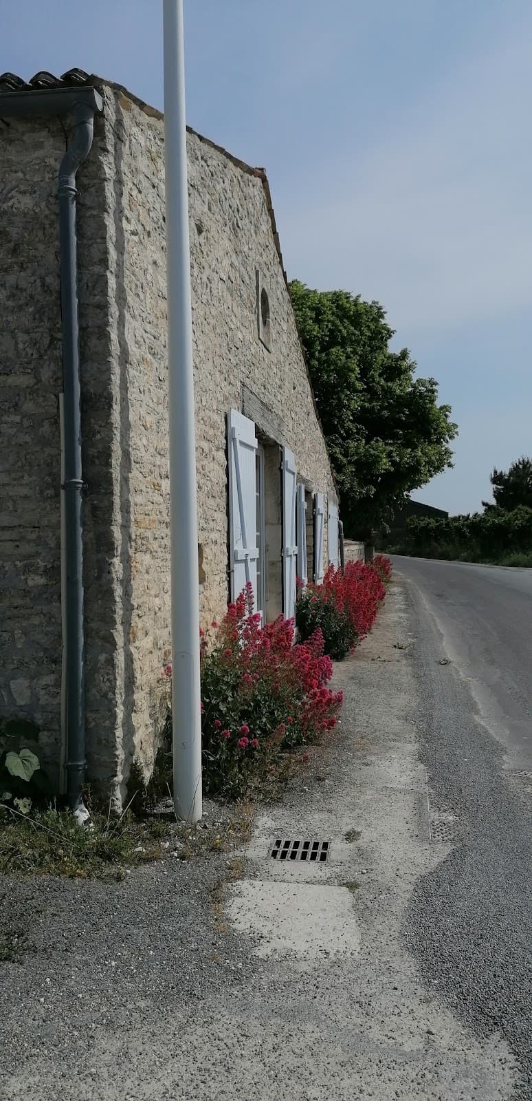 Vignoble Coulon & Fils