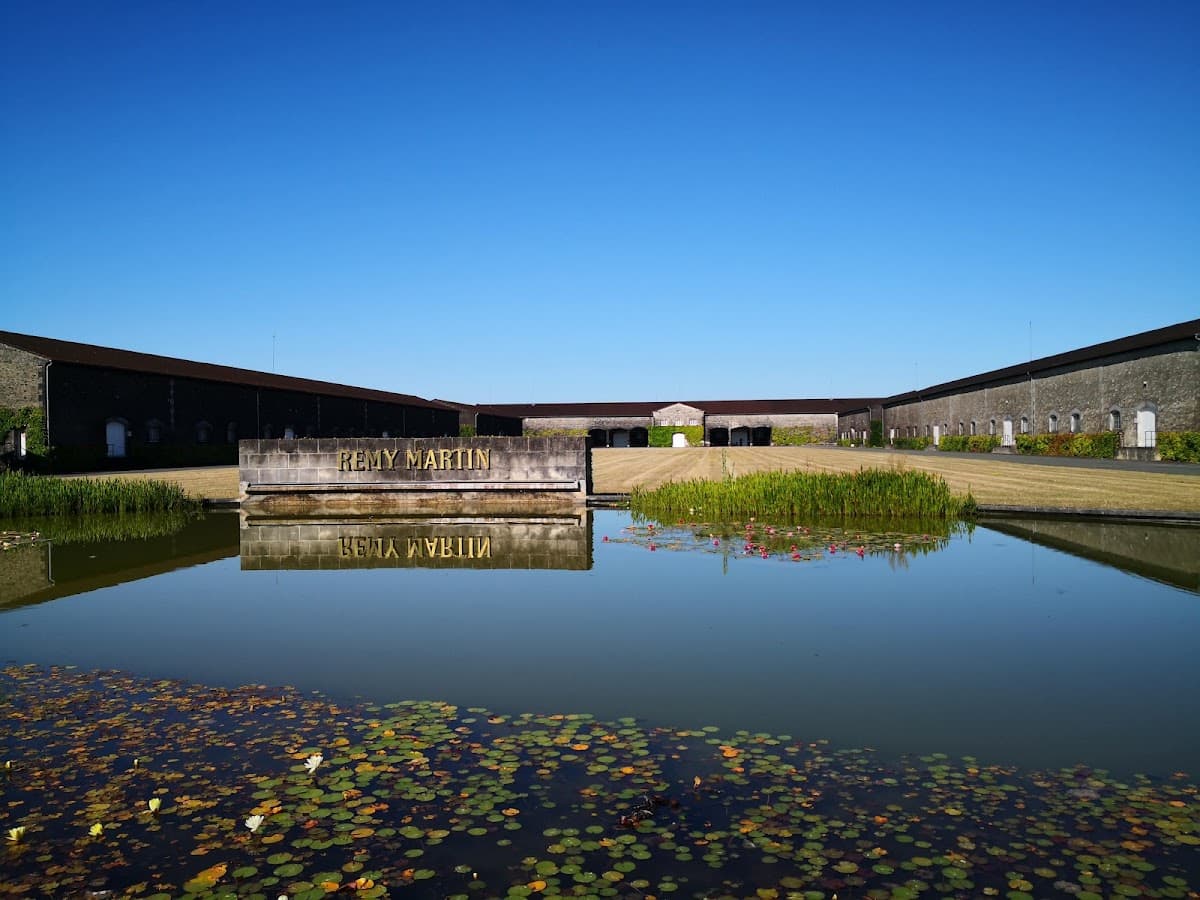 Site D'élaboration - Domaine Rémy Martin