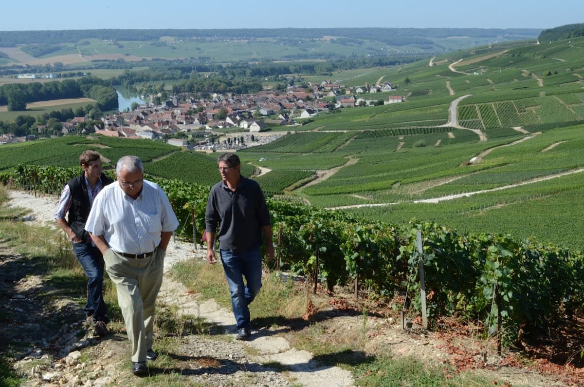 Champagne Vadin-Plateau