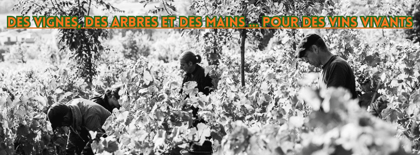 Domaine Enivrance