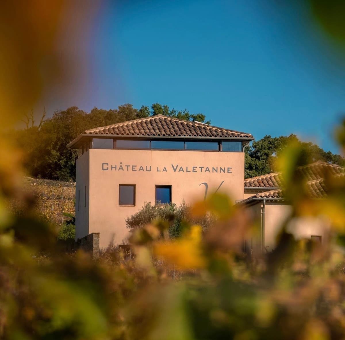 Château la Valetanne