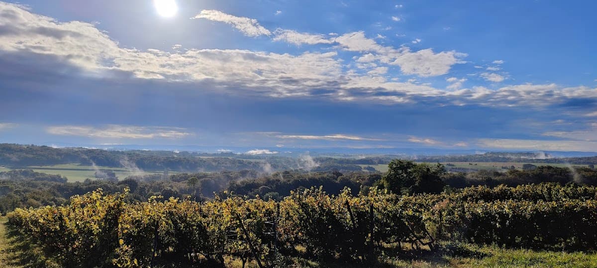 Le Vignoble du Moutherot