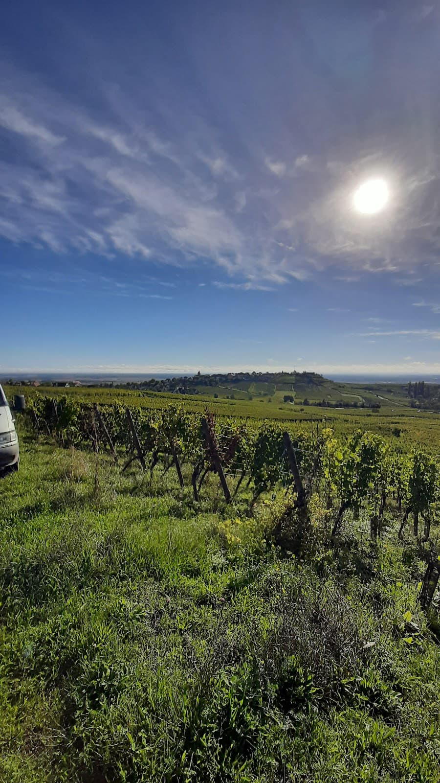 Domaine Trapet Alsace
