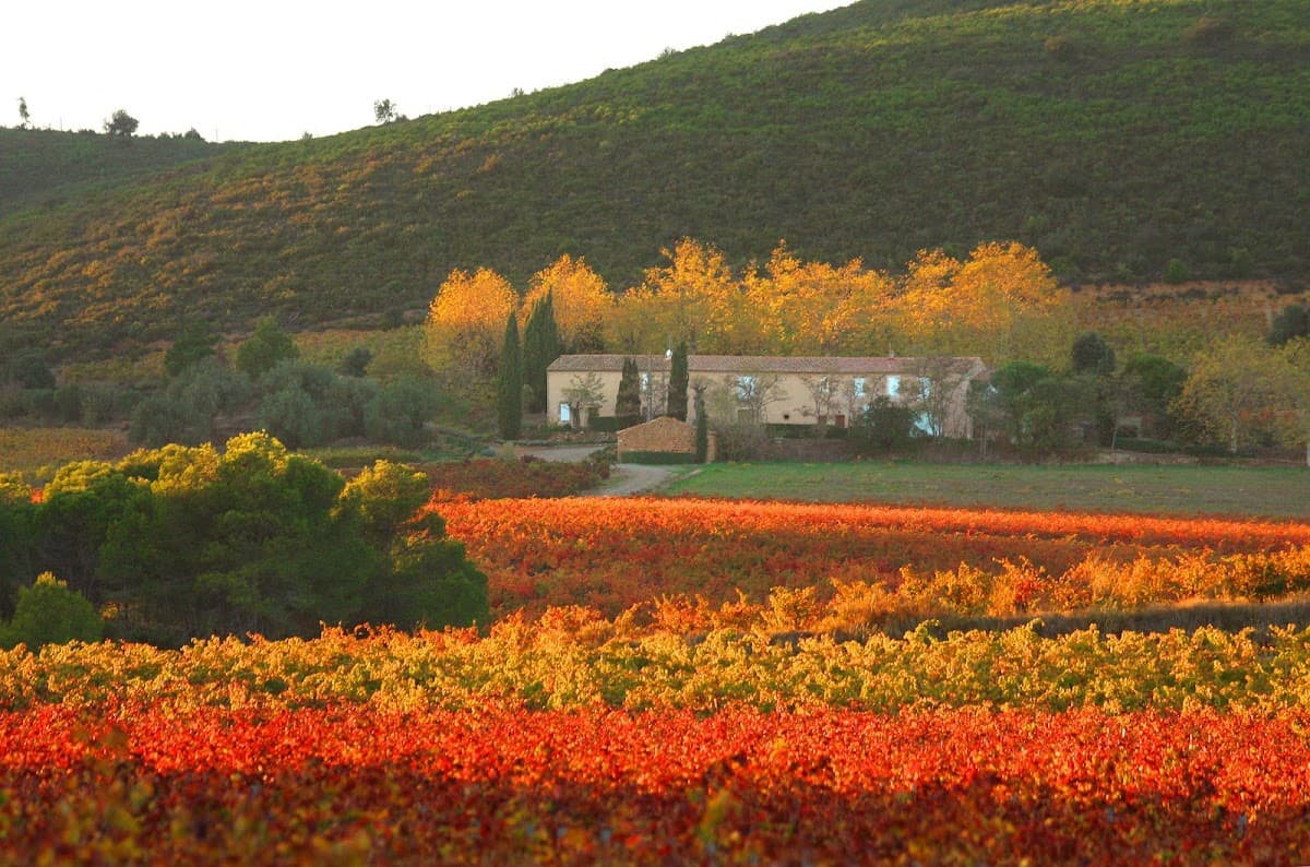 Domaine de Fontsainte