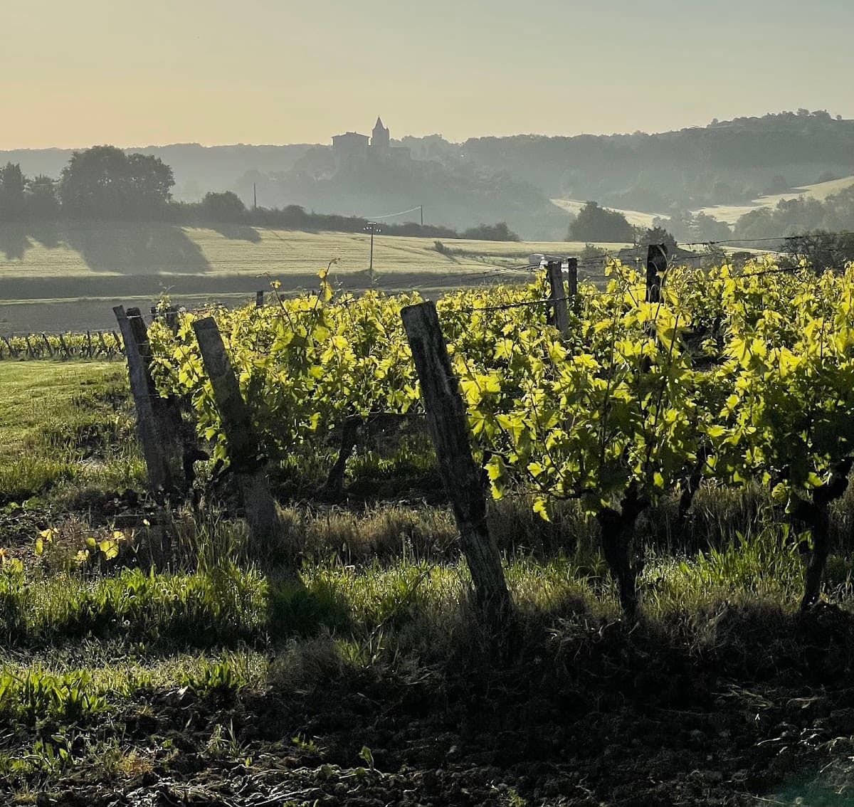 Domaine Encapette