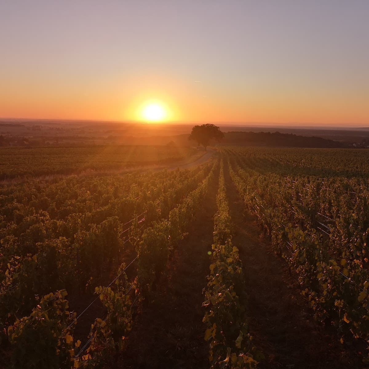 Domaine de Montorge