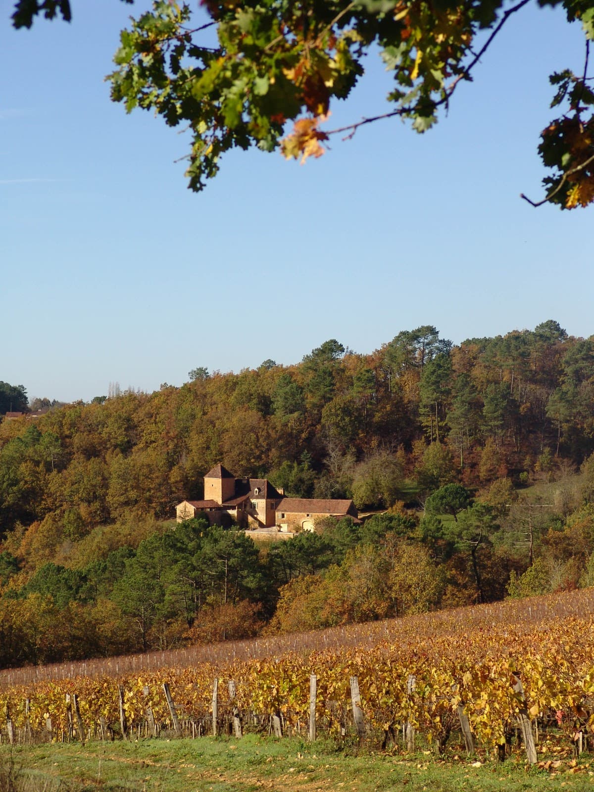 Domaine Belmont