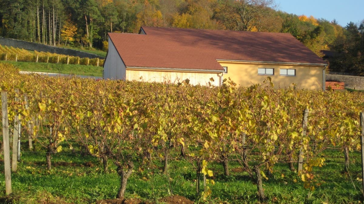 Domaine Champ Divin