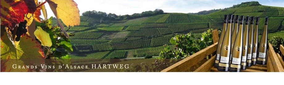 Vins D'alsace Hartweg