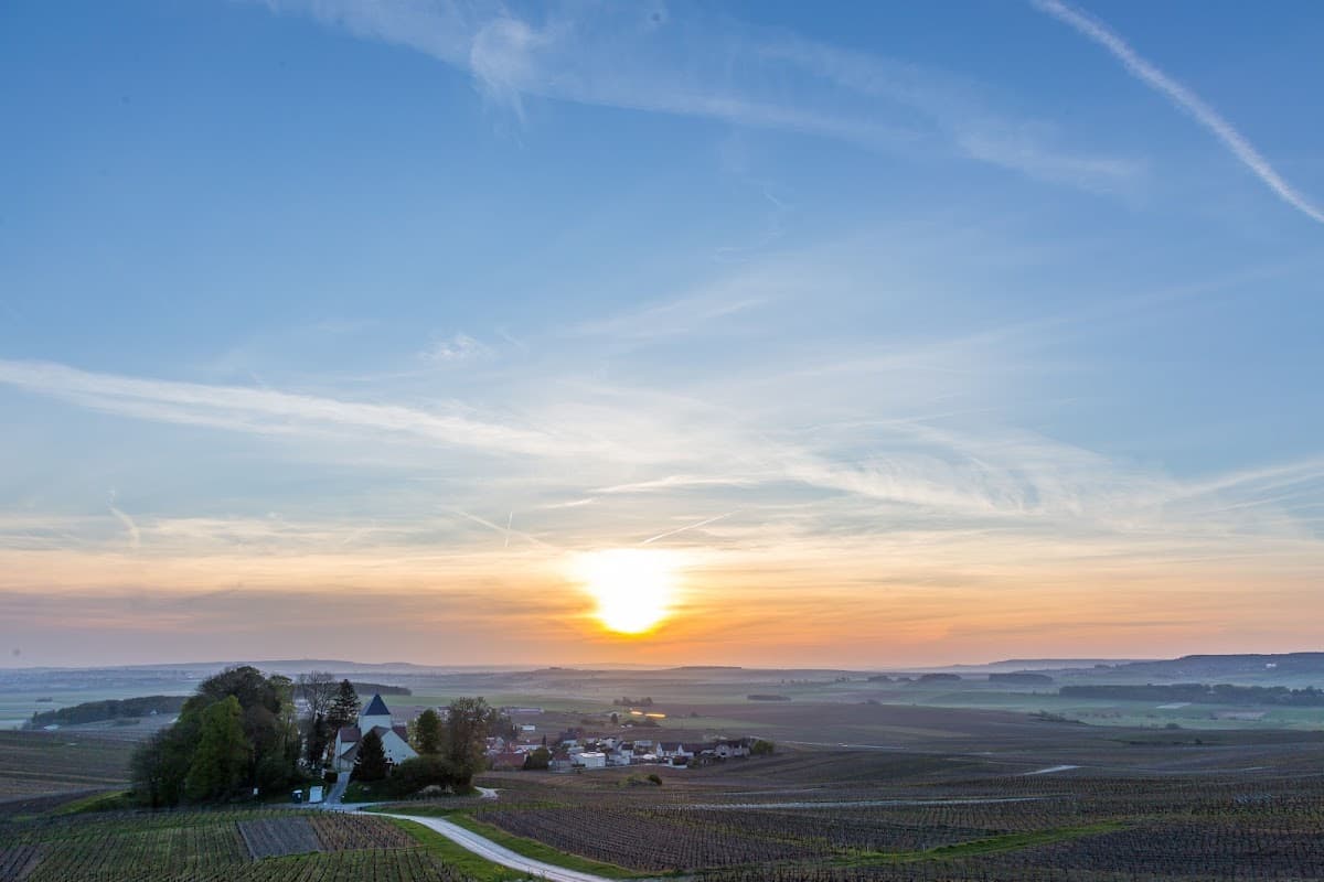 Champagne Vincent Brochet — vignoble à Écueil