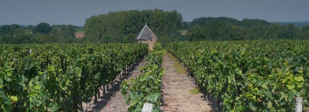 Domaine Nairaud-Suberville