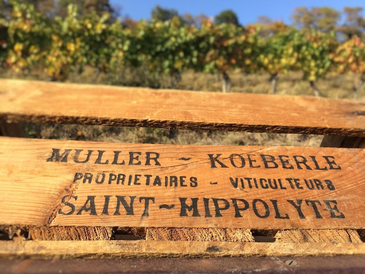 Domaine Muller Koeberlé