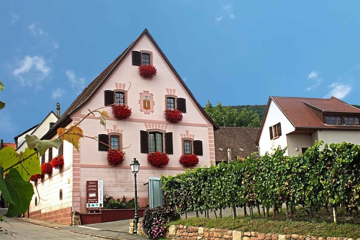 Domaine François Weck