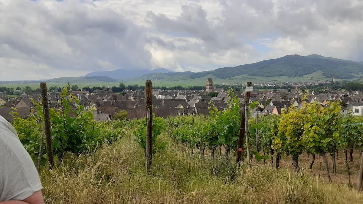 Domaine Fabien Stirn