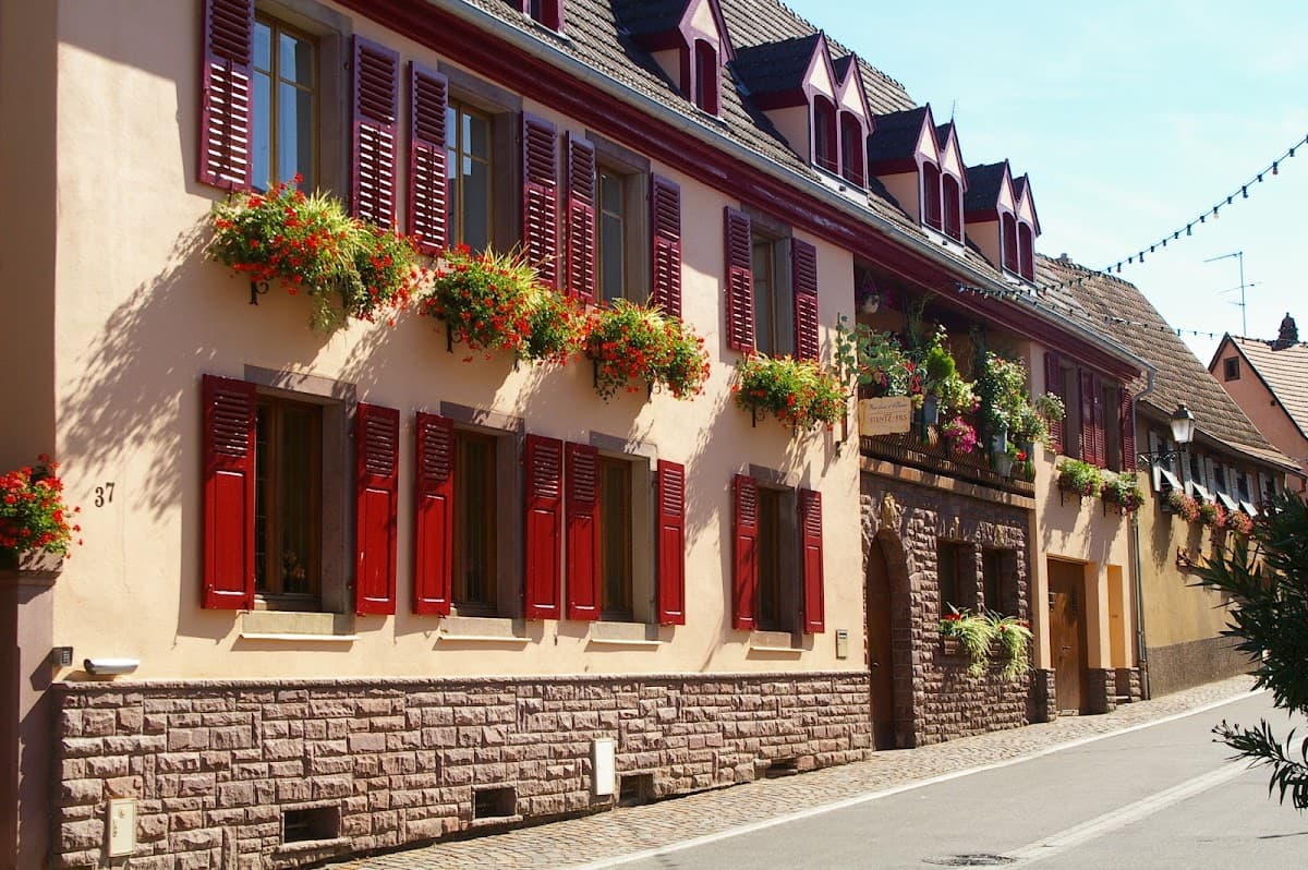 Domaine Stentz  Aimé