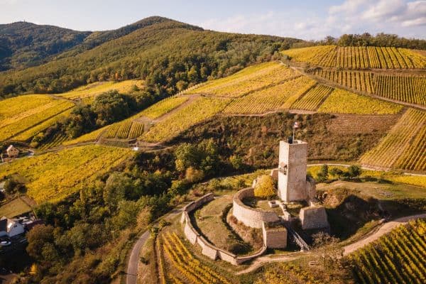 Domaine Henri Klee