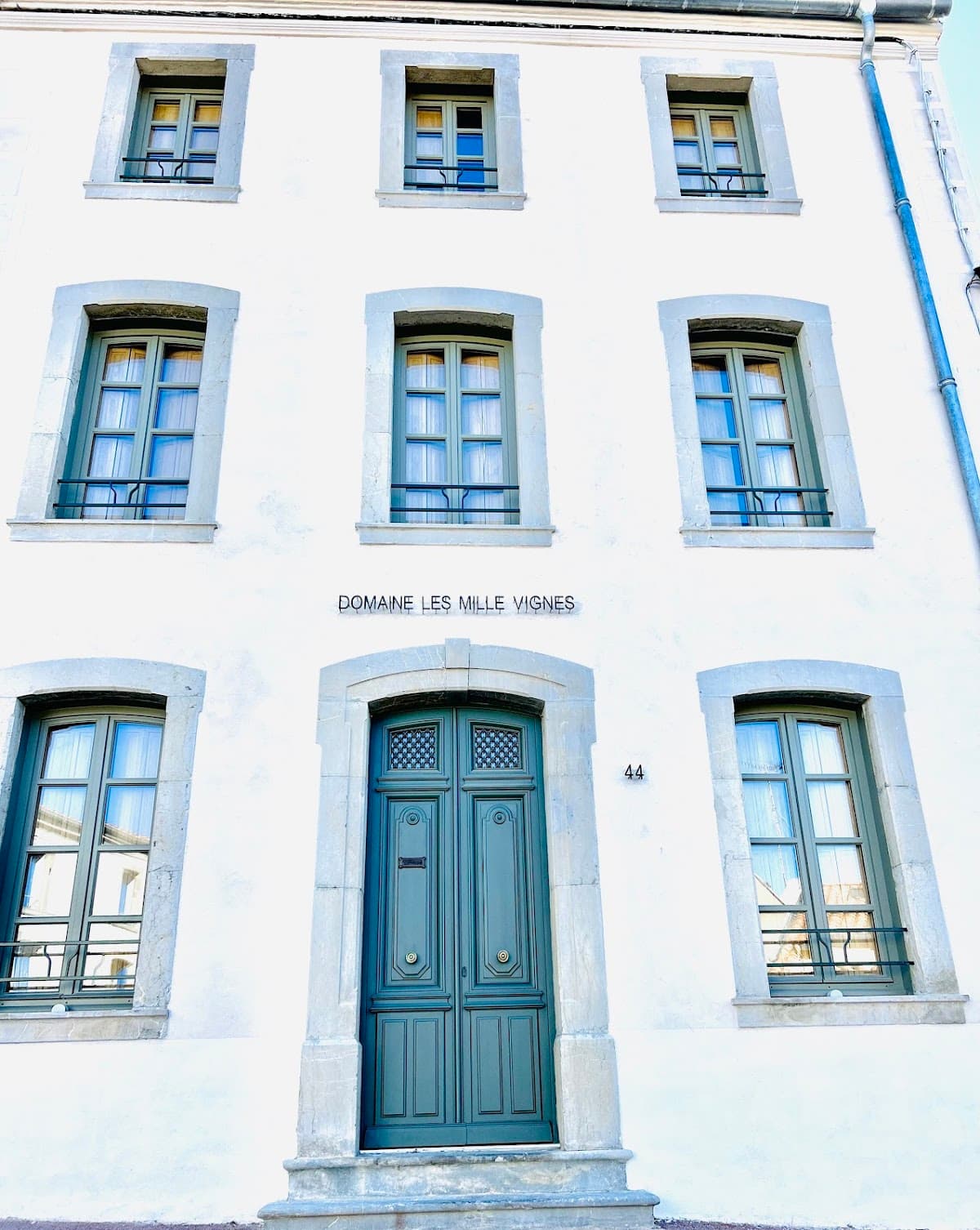 Domaine les Mille Vignes — vignoble à La Palme
