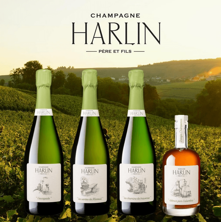 Champagne Harlin Père et Fils — vignoble à Mareuil-le-Port