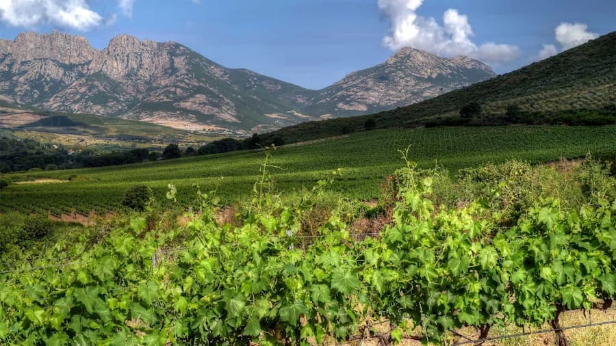 Domaine 'alzipratu