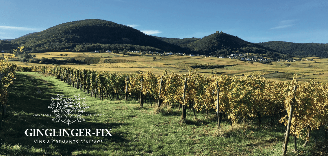 Vins Ginglinger-Fix