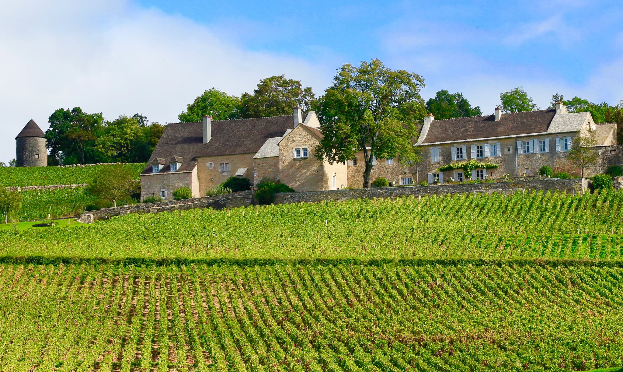 Domaine du Cellier aux Moines — vignoble à Givry
