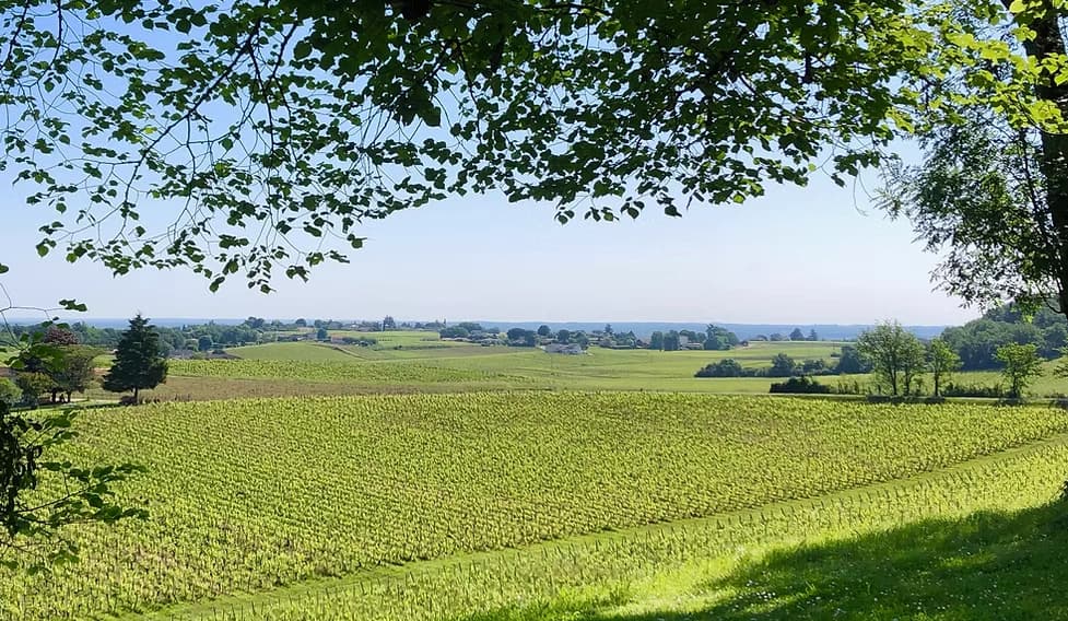 Château George 7
