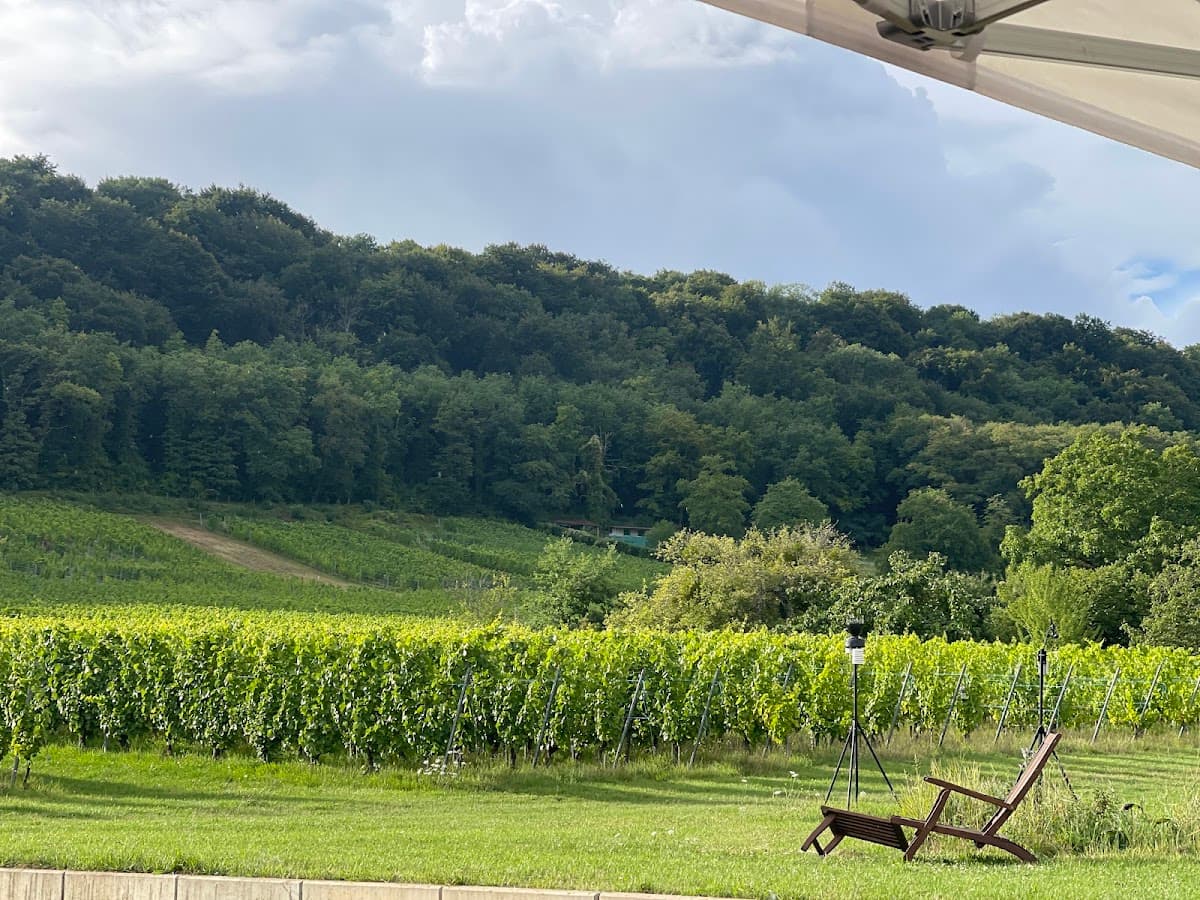 Domaine les Béliers