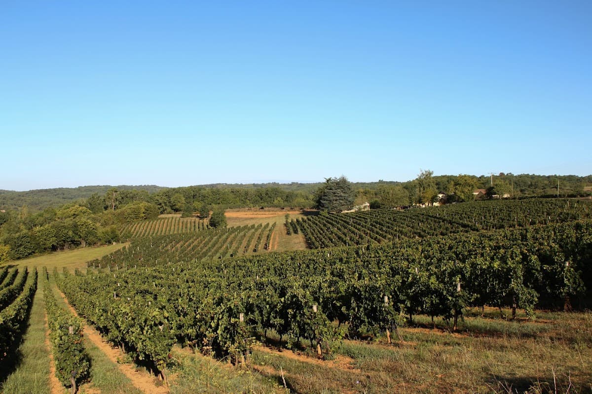 Domaine Ichard
