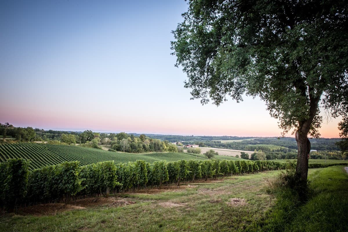 Domaine de Haut Marin