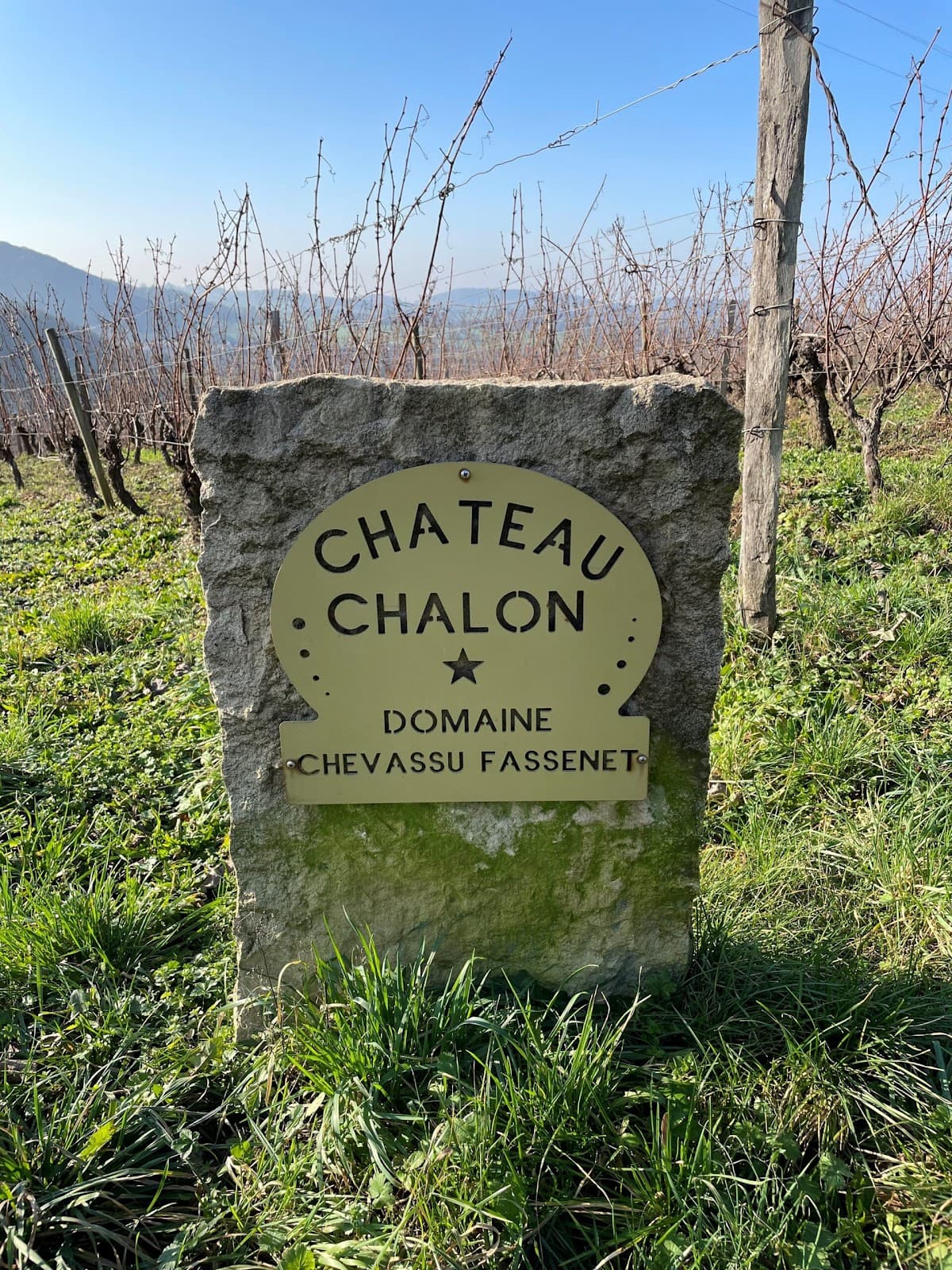 Domaine Chevassu-Fassenet