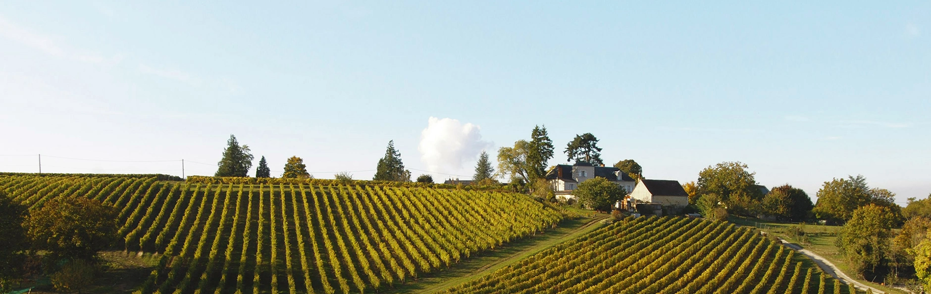 Domaine de la Noblaie