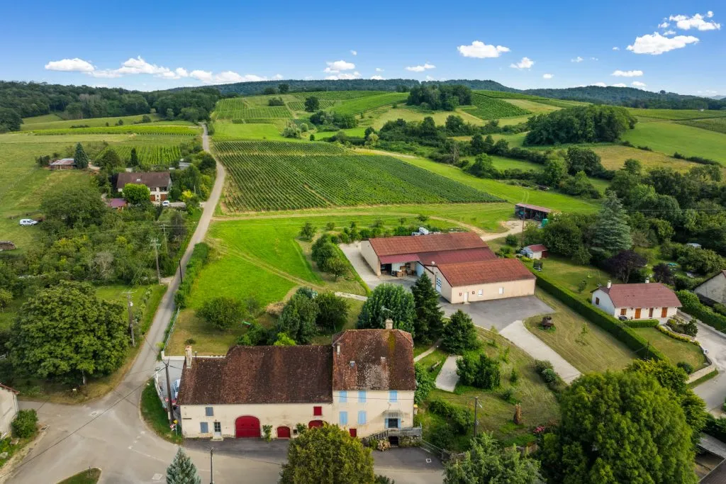 Domaine Cartaux-Bougaud — vignoble à Arlay