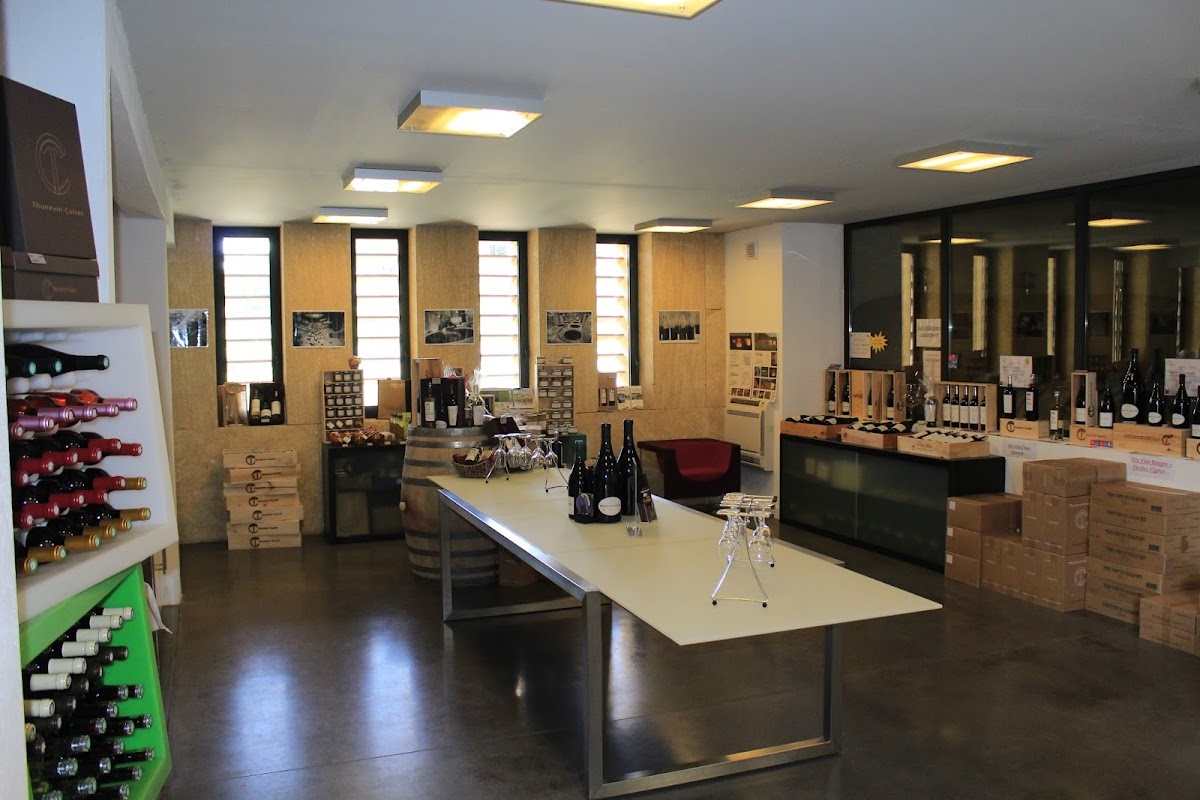 Domaine Thunevin Calvet